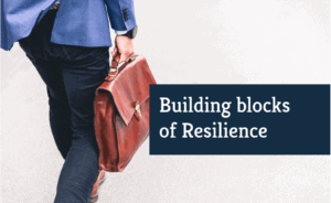 building blocks of resilience